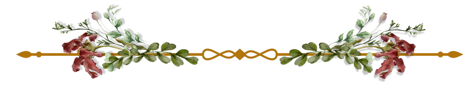 line decoration